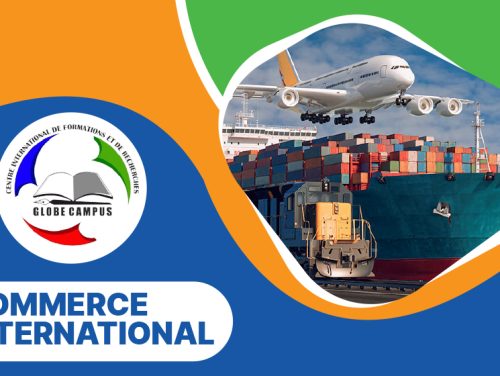 FORMATION ACADEMIQUE