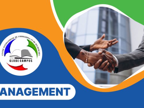 FORMATION ACADEMIQUE